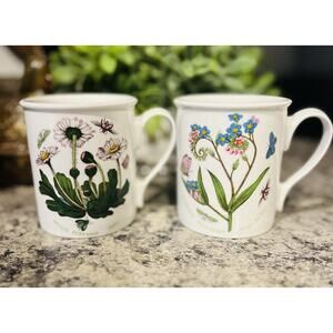 Vtg Portmeirion Botanic Garden 10oz Coffee Mug Set 2 England Daisy Forget-me-not